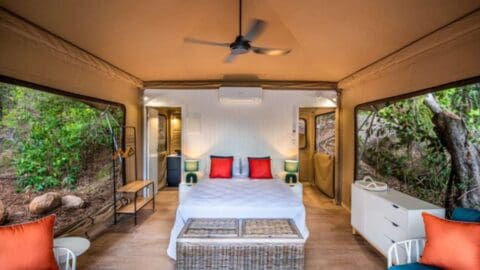 A modern glamping tent interior with a double bed, seating, ceiling fan, air conditioner, and storage. The accommodation features canvas walls and large windows revealing lush greenery outside, offering a sustainable retreat.