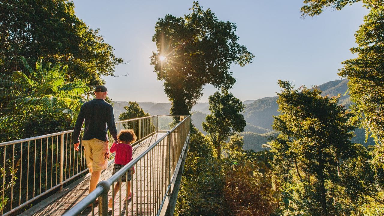 Mamu Tropical Skywalk Mamu Tropical Skywalk