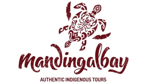 Logo for Mandingalbay Authentic Indigenous Tours featuring stylized text and an artistic depiction of a turtle above the text, emphasizing sustainable practices.