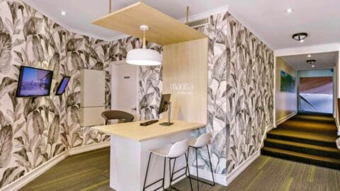 A modern reception with a black and white wallpaper in plant pint.