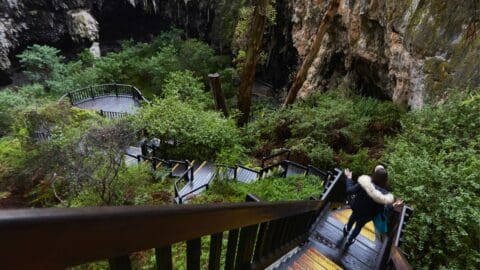 Two people descend a wooden staircase surrounded by lush greenery and steep rock walls, leading into a cave entrance, offering a perfect blend of adventure and ecotourism.