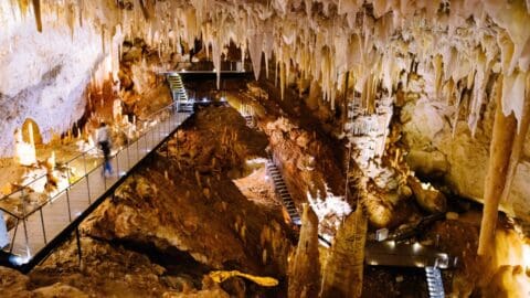 A large underground cave interior with stalactites and stalagmites. Walkways and stairs allow visitors to explore the cavern, with some areas illuminated by artificial lighting. This ecotourism destination offers unique experiences for nature enthusiasts.