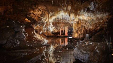 A person in the distance stands in a large cave with numerous stalactites hanging from the ceiling, reflected in a pool on the cave floor, exploring nature's sustainable wonders.