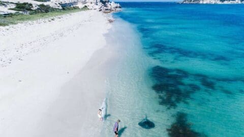 Two people walk along a clear, shallow shoreline with a large stingray swimming nearby in the blue water. The sandy beach stretches into the distance, bordered by nature and rocks, showcasing a pristine, sustainable landscape.