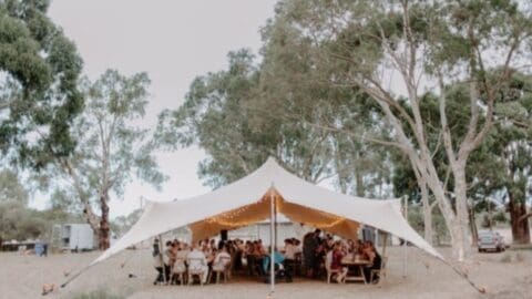 A large outdoor tent with string lights shelters a group of people seated at tables among tall trees, creating an idyllic setting for an ecotourism tour.