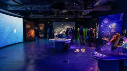 A group of people observes various ocean-themed displays and interactive installations in a dark, modern museum exhibit at the Busselton Jetty.