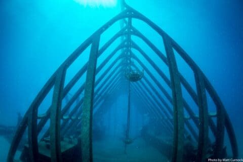 Underwater view of a large fish-shaped metal structure resembling a skeletal frame, submerged in clear blue water with sunlight penetrating from above. This fascinating attraction is part of a sustainable underwater tour. Photo credit: Matt Curnock.