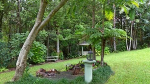 A serene garden features a tree, a stone pedestal with a lantern, a bench, and a gazebo. The background is lush with various plants and trees, creating a peaceful atmosphere perfect for sustainable ecotourism accommodation.