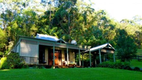 A small house with a porch surrounded by lush greenery and trees on a sunny day, perfect for an ecotourism tour.