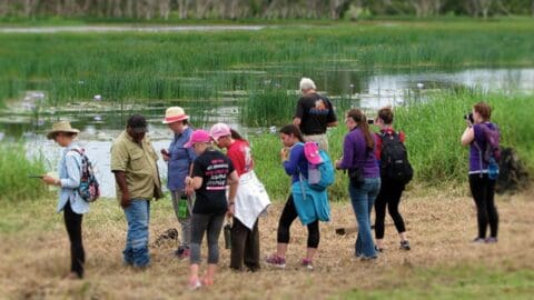 A group of people stands near a wetland, observing their surroundings and taking notes. Some are wearing backpacks and hats and appear to be participating in a sustainable outdoor educational activity focused on ecotourism.