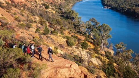 A group of hikers embarks on a nature tour along a rugged trail on a hillside overlooking a river with dense trees and a boat in the water below.