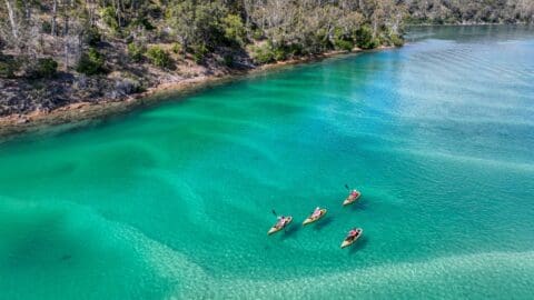 Four kayaks with people paddling on clear turquoise water near a forested shoreline, showcasing the beauty of nature.