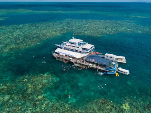 A large boat is anchored in clear, blue water. Several people are snorkeling nearby. Coral reefs are visible underwater. The boat displays "Sunlover Reef Cruises" on its side, offering ecotourism experiences that highlight the beauty of marine life.