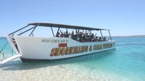 A boat labeled "Snorkelling & Coral Viewing" is anchored in clear blue water. The boat is full of people, some with raised arms, enjoying a sunny day amidst the beauty of nature.