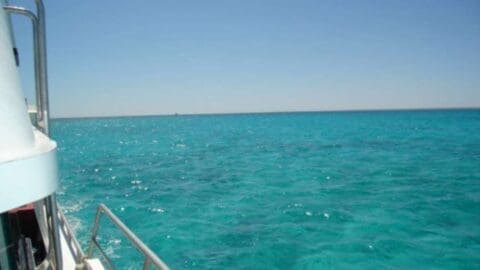 From the boat's deck railing, enjoy the clear turquoise sea under a bright blue sky, a perfect sight for any ecotourism enthusiast.