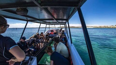 People on a boat with a glass bottom viewing the clear blue water below. The boat, covered with a shaded canopy, offers an immersive nature experience near the coastline.