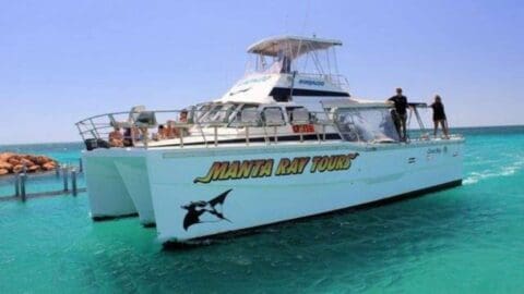 A catamaran named "Manta Ray Tours" sails in clear turquoise waters, with people standing on its deck and a logo of a manta ray on the side. Experience nature up close as you explore the pristine marine environment.