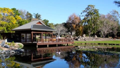 A serene pond reflects a wooden gazebo surrounded by lush trees and greenery on a clear day, offering an ideal spot for ecotourism.