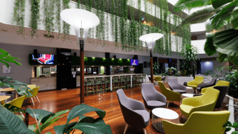 A modern indoor lounge area at Novotel Darwin features green foliage hanging from above, colorful chairs and tables arranged neatly, and a bar in the background with a flat-screen TV.