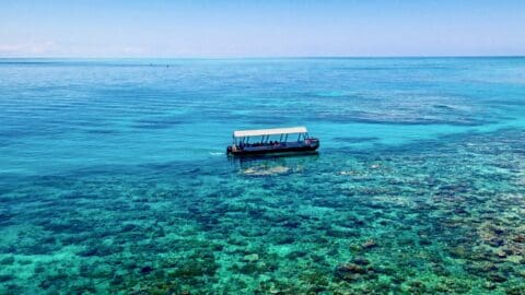 A small boat with passengers floats on clear turquoise water above a coral reef on a sunny day, showcasing the beauty of Ocean Freedom with one of Cairns' Premier Reef Tours.
