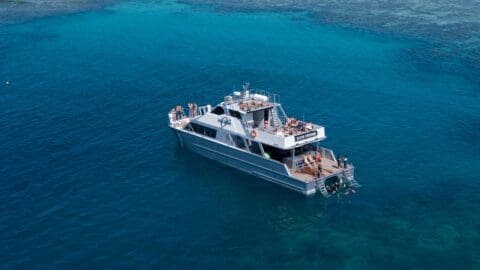 A large boat with several people on board is anchored in clear, blue water, likely near a reef or coast. Some individuals are on the deck while others enter the water from the back, experiencing the magic of Cairns Reef Tours with Ocean Freedom.