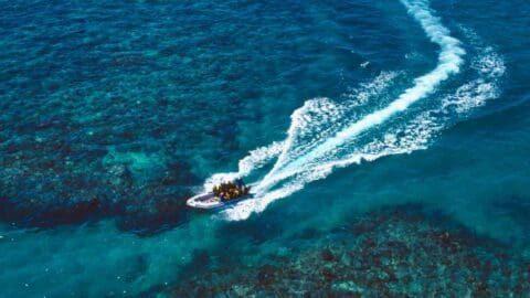 A speedboat from Ocean Freedom travels rapidly across clear, turquoise water, leaving a white, foamy wake behind. Coral reefs can be seen below the surface.