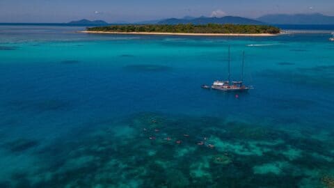 Aerial view of a sailing boat anchored near a small island surrounded by turquoise waters. People are snorkeling in groups near the boat. The island is lush with greenery, offering an idyllic scene reminiscent of Cairns Premier Reef Tours' Ocean Freedom or Ocean Free adventures.