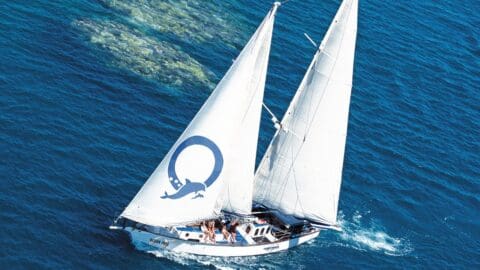 A white sailboat with two sails is sailing on clear blue water, offering Island Tours. Several people are visible on deck, enjoying the serene ocean expanse.