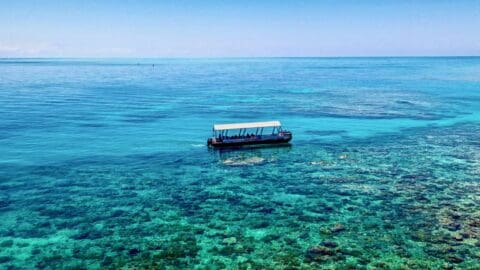 A boat with people gliding through crystal clear water with coral reef shining through.