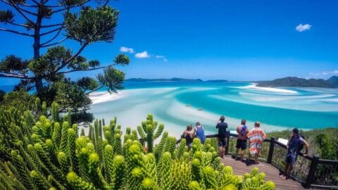 A group of people stand on an observation deck overlooking a turquoise ocean bay with white sandbanks and lush greenery on a sunny day, enjoying the view from their sustainable accommodation.