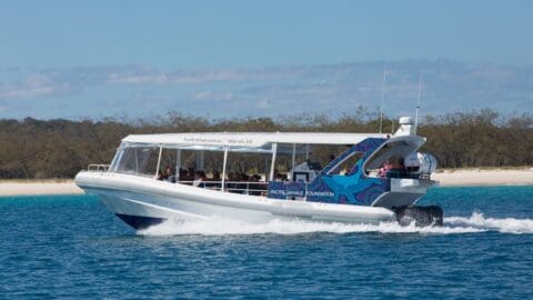 An open-roof tour boat with passengers travels on blue water past a sandy shoreline with lush vegetation. The boat, marked "Pacific Whale Foundation," offers an immersive nature experience.