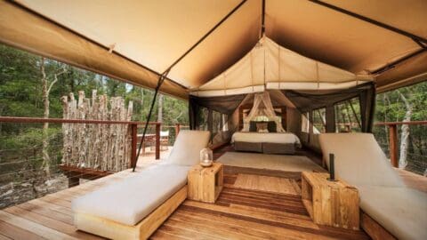 Luxurious glamping tent with a bed, mosquito net, two lounge chairs, wooden side tables, and a stunning view of the surrounding nature. This unique accommodation offers an unparalleled experience in the heart of the forest.