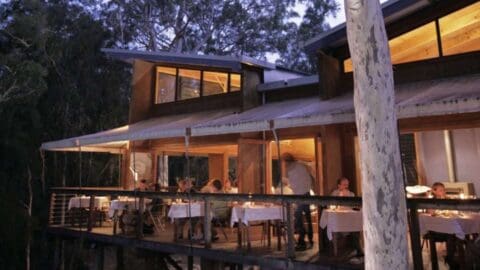 A group of people dining in an outdoor seating area of a modern wooden building surrounded by trees, enjoying nature. The setting appears to be evening.