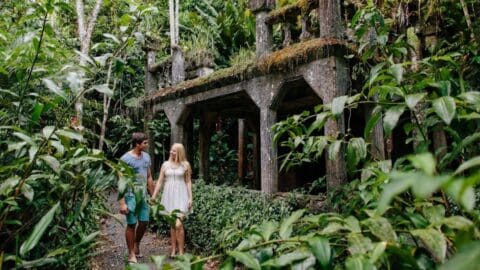 A couple walks hand in hand along a path through lush nature and past an old, moss-covered concrete structure in a jungle setting.