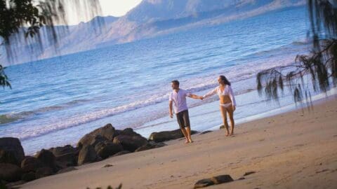 A couple holding hands walks along a sandy beach with gentle waves, mountains in the background, and foliage framing the scene.