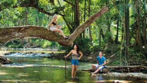 Three people are enjoying a hiking trip in a forest, with one sitting on a tree branch, another standing in the stream with a walking stick, and the third sitting on a fallen tree trunk.