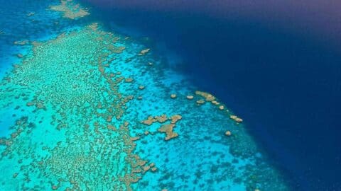 Aerial view of a vibrant coral reef system with patches of darker blue deep water surrounding it.