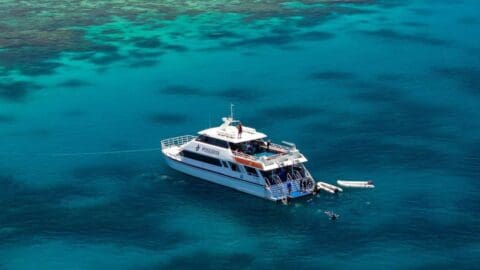 A boat is anchored in clear, turquoise water near a coral reef. Two smaller inflatable boats are attached to the main vessel, offering a sustainable tour experience. Swimmers are nearby, enjoying the pristine marine environment.