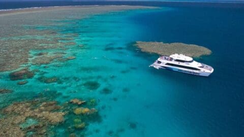 Aerial view of a white boat anchored near a coral reef in clear blue waters, with snorkelers visible around the reef. This ecotourism spot offers an exceptional underwater experience in a sustainable environment.