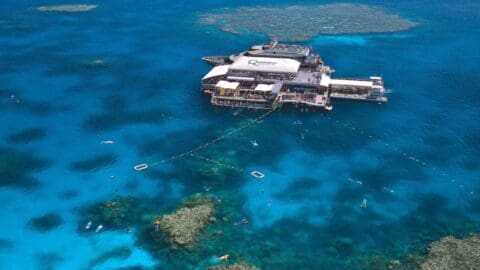 Aerial view of a sustainable floating platform on clear blue water with people snorkeling around, surrounded by coral reefs.