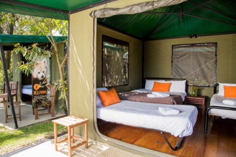 A glamping tent with two single beds, orange pillows, wooden floor, and a chair. An adjacent connected room features a bed with a red panda decoration on the wall. Enjoy this eco-friendly retreat at Taronga, where conservation efforts in Australia meet luxury camping.