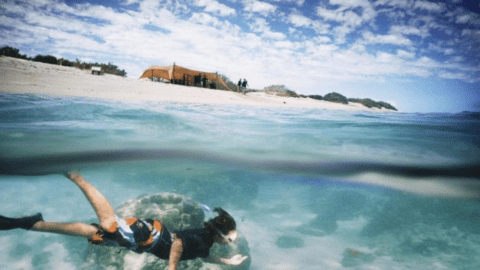 A person snorkeling in the clear waters near the shore with a sandy beach in the backdrop and a group of people relaxing under a canopy tent. The sky is partly cloudy, completing the perfect day at Ningaloo Reef near Sal Salis.