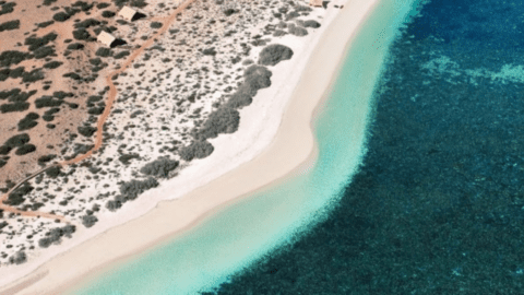 Aerial view of a coastal landscape with turquoise water, a white sandy beach, and patchy vegetation on desert-like terrain near Ningaloo Reef. Small structures, possibly part of Sal Salis, are visible along the edge of the sandy area.