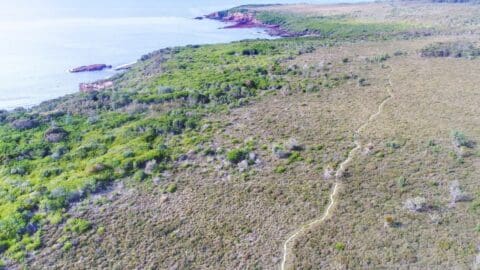 Aerial view of a coastal landscape with a mix of greenery and barren land, showcasing a narrow path leading towards the ocean. Perfect for an accommodation retreat or an immersive tour.