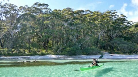 A person enjoys sustainable ecotourism by kayaking in clear turquoise water near a forested shoreline under a sunny sky.