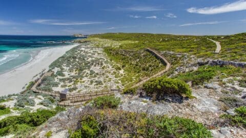 A wooden pathway winds through a coastal cliffside landscape, offering spectacular views of a sandy beach with turquoise waters under a blue sky, embracing the essence of nature.