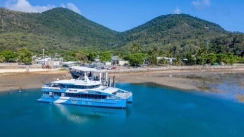 A large blue ferry is docked at a small marina with lush mountains and a blue sky in the background, ready to provide tours and accommodations for travelers.