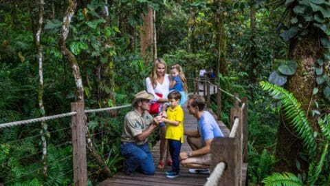 A family with two children listens to a guide on a wooden walkway surrounded by dense tropical forest, immersing themselves in the wonders of nature through this ecotourism experience.