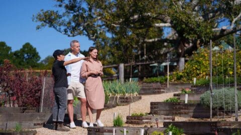 A woman pointing in the distance while talking to a couple in the middle of a well curated garden.