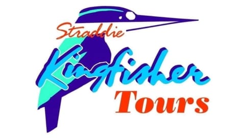 Logo of Straddie Kingfisher Tours featuring a stylized blue and green kingfisher bird with the company name in blue and orange text, emphasizing accommodation and sustainable travel.